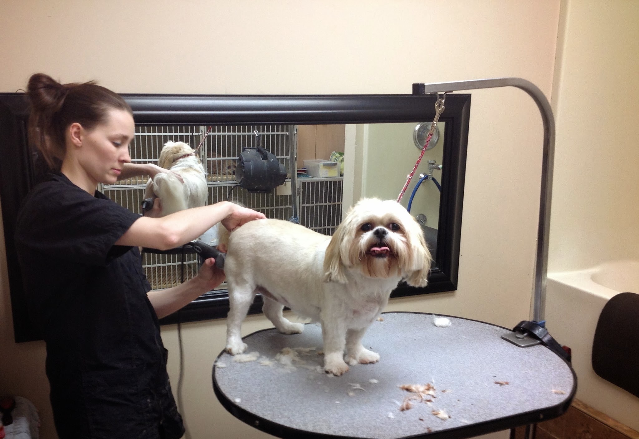 Take a Tour South Des Moines Veterinary Center, Des Moines IA