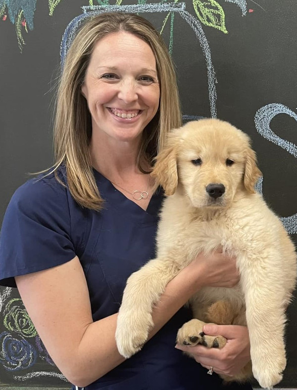 Vet with dog